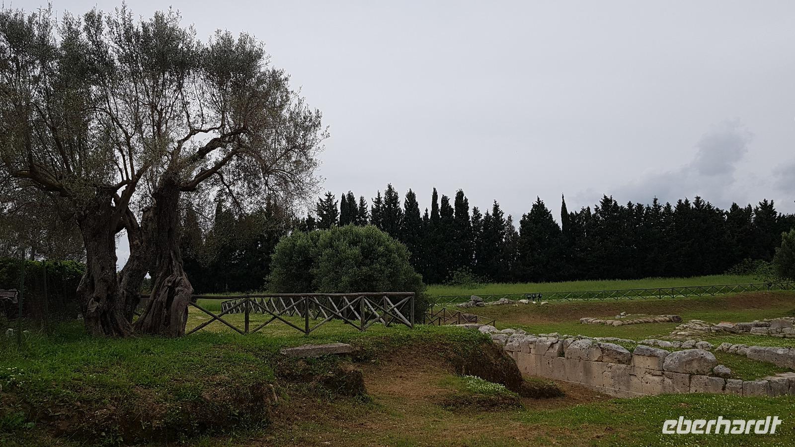Locri  Ausgrabungsstelle 20190421 114717 &ndash; &copy; Marlies Thrum (Eberhardt TRAVEL)