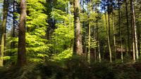 Fahrt nach Mongiano 20190418_143852 &ndash; &copy; Marlies Thrum (Eberhardt TRAVEL)