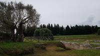 Locri  Ausgrabungsstelle 20190421 114717 &ndash; &copy; Marlies Thrum (Eberhardt TRAVEL)