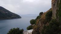Scilla 20190422 150714 &ndash; &copy; Marlies Thrum (Eberhardt TRAVEL)