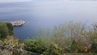 Scilla 20190422 150806 &ndash; &copy; Marlies Thrum (Eberhardt TRAVEL)