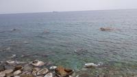 Scilla 20190422 154233 &ndash; &copy; Marlies Thrum (Eberhardt TRAVEL)