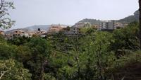 Tropea- Impressionen 20190423 122316 &ndash; &copy; Marlies Thrum (Eberhardt TRAVEL)