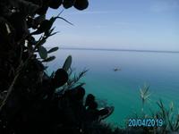 Capo Vaticano  &ndash; &copy; Claudia Hartwich (Eberhardt TRAVEL)