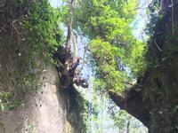 AKROBATISCHE BÄUME &ndash; &copy; Mathias Schirmer (Eberhardt TRAVEL)