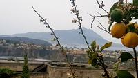 Blick nach Ischia  &ndash; &copy; Kristina Hesse (Eberhardt TRAVEL)