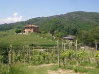 Weingut Podere al Valloni &ndash; &copy; Ingrid Langer (Eberhardt TRAVEL)