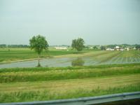 Reisfelder &ndash; &copy; Ingrid Langer (Eberhardt TRAVEL)