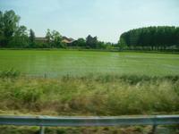Reisfelder &ndash; &copy; Ingrid Langer (Eberhardt TRAVEL)
