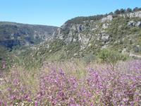 DSCN2733  Hochebene von Pantalica &ndash; &copy; Kerstin Veit (Eberhardt TRAVEL)