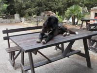hier bin ich der KIng &ndash; &copy; Kerstin Veit (Eberhardt TRAVEL)