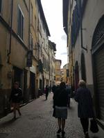 Lucca &ndash; &copy; Natalie Frey (Eberhardt TRAVEL)