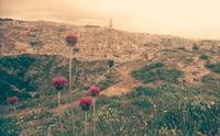 Matera, oder doch Betlehem? &ndash; &copy; Simone Willner (Eberhardt TRAVEL)