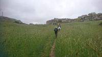 Gruppe beim Wandern, Gravina Schlucht &ndash; &copy; Simone Willner (Eberhardt TRAVEL)