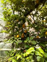 DSC_0752 &ndash; &copy; Kathrin Bock Leao (Eberhardt TRAVEL)