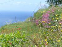 P1110085 &ndash; &copy; Margret van Blokland (Eberhardt TRAVEL)