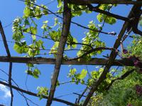 P1110232 &ndash; &copy; Margret van Blokland (Eberhardt TRAVEL)