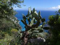 P1110270 &ndash; &copy; Margret van Blokland (Eberhardt TRAVEL)