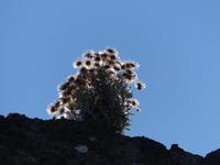 P1110384 &ndash; &copy; Margret van Blokland (Eberhardt TRAVEL)