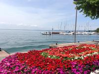 In Garda &ndash; &copy; Uta Schöne (Eberhardt TRAVEL)