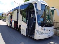 Bus Gruppe 1 der auch die Tour Elba fuhr &ndash; &copy; Philipp Schmitz (Eberhardt TRAVEL)