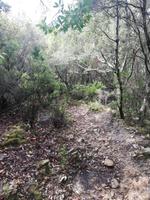 Wanderwege &ndash; &copy; Astrid Janke (Eberhardt TRAVEL)