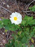 IMG_20190529_142426