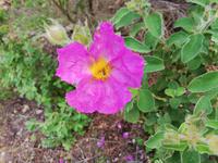 IMG_20190529_142437