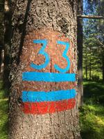 Waldbesitzergrenze &ndash; &copy; Mathias Schirmer (Eberhardt TRAVEL)