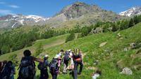 Ortler Gruppe
