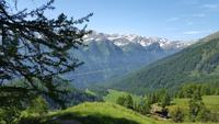 Ortler Gruppe