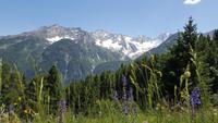 Impressionen