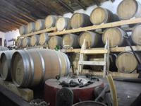 Weingut Tenuta bei Licata &ndash; &copy; Katrin Deutschbein (Eberhardt TRAVEL)