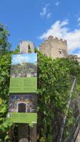 Die Burgruine Obermontani &ndash; &copy; Doreen Päßler (Eberhardt TRAVEL)