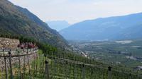 Blick ins Vinschgau &ndash; &copy; Doreen Päßler (Eberhardt TRAVEL)