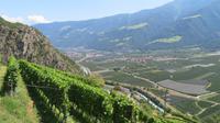 Blick ins Vinschgau &ndash; &copy; Doreen Päßler (Eberhardt TRAVEL)
