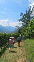 Führung im Weinberg &ndash; &copy; Doreen Päßler (Eberhardt TRAVEL)