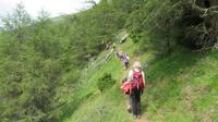 Wanderung von Tanas zur Köpfelplatte &ndash; &copy; Doreen Päßler (Eberhardt TRAVEL)