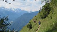 IMG_9626 &ndash; &copy; Doreen Päßler (Eberhardt TRAVEL)