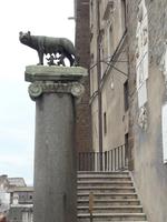 10_Rom_Wölfin &ndash; &copy; Walburga Lindner (Eberhardt TRAVEL)
