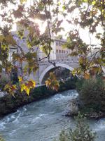 60_Rom_Tiberins._Röm.Brücke &ndash; &copy; Walburga Lindner (Eberhardt TRAVEL)