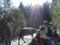 tierisch &ndash; &copy; Jörg Nesse (Eberhardt TRAVEL)