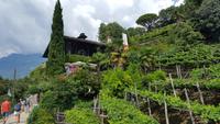 Meran &ndash; &copy; Betina Marinow (Eberhardt TRAVEL)