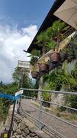 Meran &ndash; &copy; Betina Marinow (Eberhardt TRAVEL)