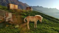 am Giggelberg &ndash; &copy; Betina Marinow (Eberhardt TRAVEL)