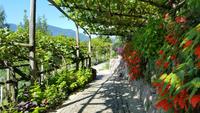 Garten von Schloß Trauttmansdorff &ndash; &copy; Betina Marinow (Eberhardt TRAVEL)