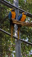 Voleren &ndash; &copy; Betina Marinow (Eberhardt TRAVEL)