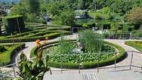 Garten von Schloß Trauttmansdorff &ndash; &copy; Betina Marinow (Eberhardt TRAVEL)