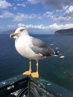 IMG_8934 &ndash; &copy; Philipp Schmitz (Eberhardt TRAVEL)