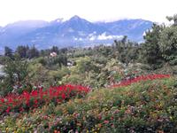 127_T.Gärten &ndash; &copy; Walburga Lindner (Eberhardt TRAVEL)